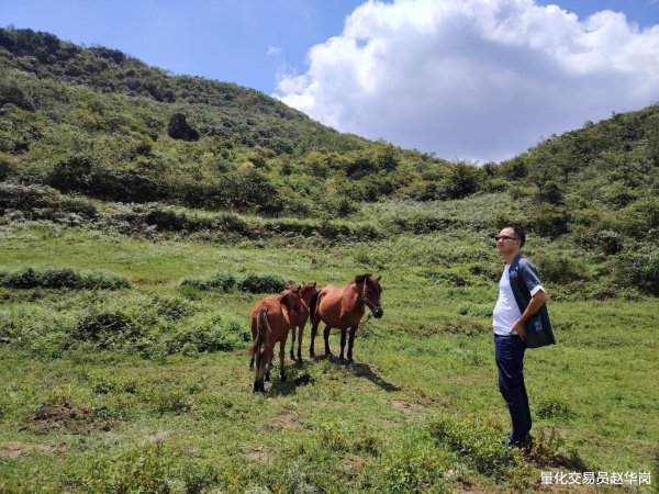 配资门户首页地址 手头不宽裕的人做交易, 十有八九会输, 这是大实话